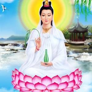 Meet your Posher, Ket